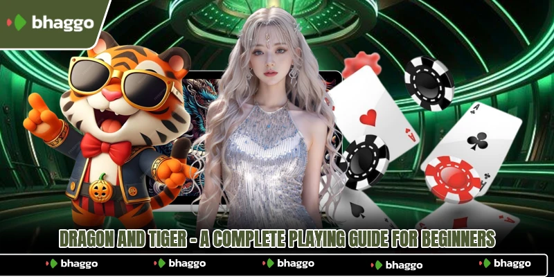 Dragon And Tiger - A Complete Playing Guide For Beginners