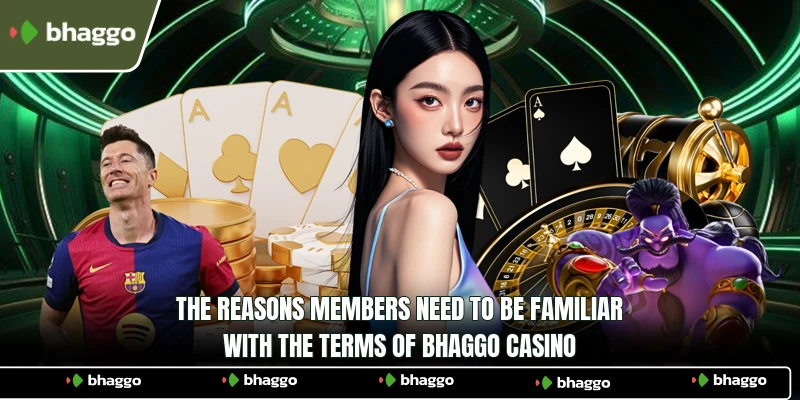 The reasons members need to be familiar with the terms of Bhaggo Casino