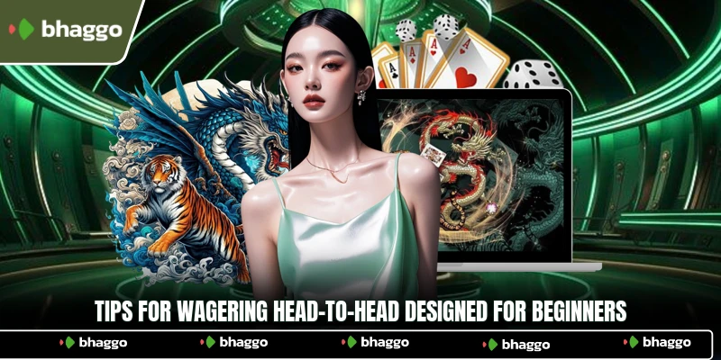 Tips for wagering head-to-head designed for beginners