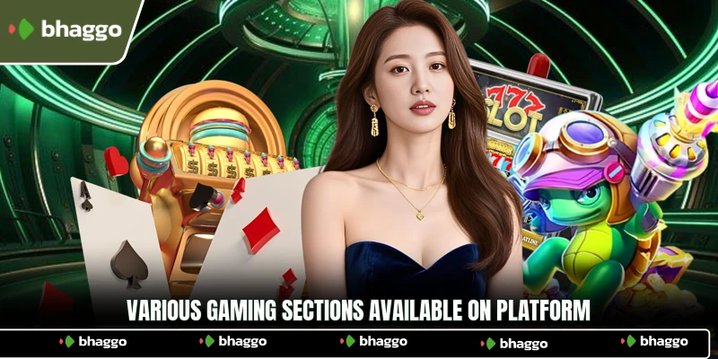 Various gaming sections available on platform